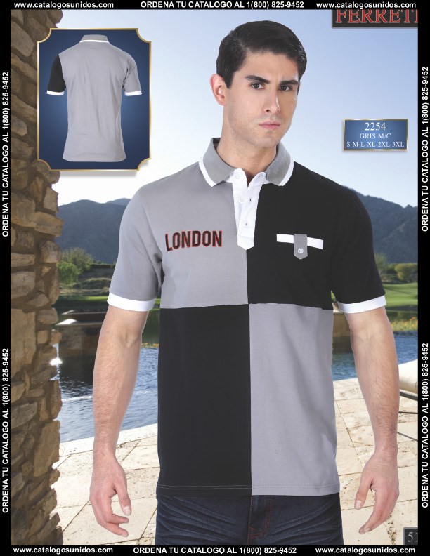 Ferreti2014 (Page 51)